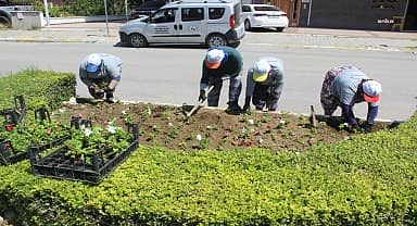 Burhaniye Belediyesi'nden yeşil alanlarda peyzaj çalışması