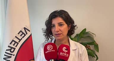 Bursa Veteriner Hekimleri Odası Başkanı Baysal: "Bazı kurban pazarlarında şap hastalığına rastlandı. Veteriner hekim onaylı hayvan alınmalı"