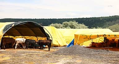 Çankaya Belediyesi, Kurban Bayramı hazırlıklarını tamamladı