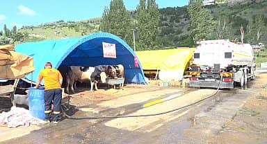 Çankaya Belediyesi'nin kurban satış ve kesim alanı bayrama hazırlanıyor