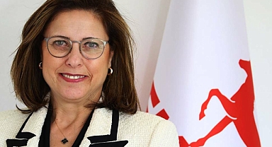 Demokrat Partili Aksoy'dan "Suriyelilerin doğum oranı" ile ilgili uyarı