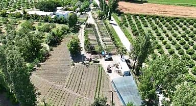 Edremit Belediyesi'nin Ata Tohumu projesi büyüyor