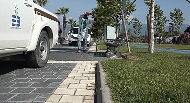 Edremit Belediyesi, sivrisinek ile mücadeleye hız verdi