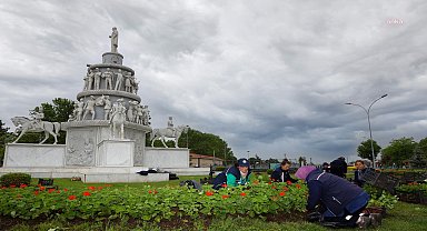 Eskişehir Büyükşehir'in seralarında yetiştirilen çiçekler şehri süslüyor