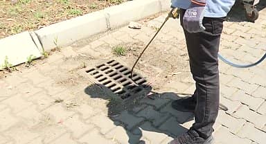 İzmir Büyükşehir Belediyesi'nden sivrisineklere karşı etkin mücadele