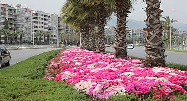 İzmir'de dikilen çiçekler görsel şölen oluşturdu