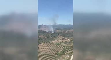 İzmir'de orman yangını