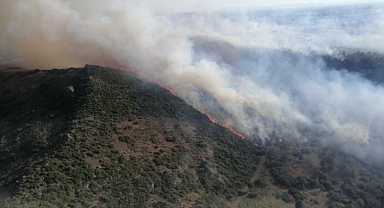 İzmir Menemen’de çıkan orman yangını kontrol altına alındı