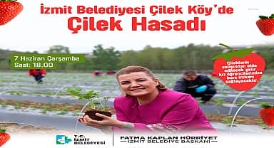 İzmit Belediyesi, Çilek Köyü'nde ilk hasadı yarın yapıyor