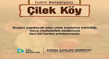 İzmit Belediyesi'nin çilek hasadı programı ertelendi 