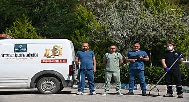 Karabağlar'da kurban yakalama timi iş başında