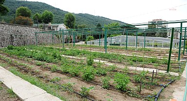 Karşıyaka Belediye Başkanı Tugay: "Yerel tohumları koruyor ve toprakla buluşturuyoruz"