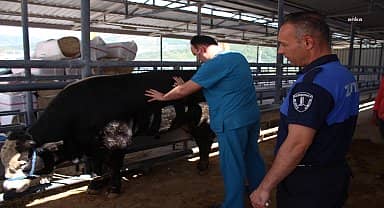 Karşıyaka Kurban Bayramı'na hazır