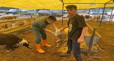 Kdz. Ereğli Belediyesi Kurban Bayramı'na hazır 