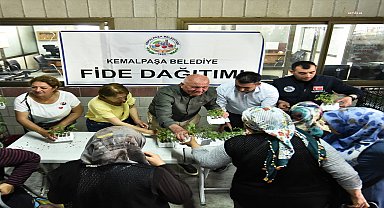 Kemalpaşa'da fideler toprakla buluşuyor