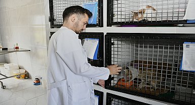 Kuşadası'nda sahipsiz can dostların tüm ihtiyaçları ücretsiz karşılanıyor