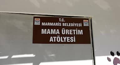 Marmaris'te gıda atıkları patili dostlara mama olacak