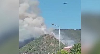 Marmaris'te orman yangını çıktı