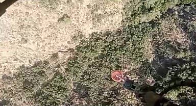 Marmaris'te orman yangını