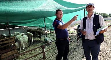 Menderes'te Kurban denetimi