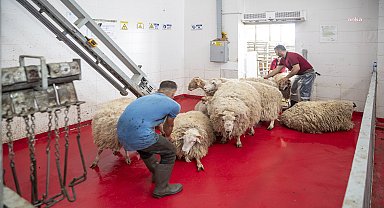 Mersin Büyükşehir Kurban Bayramı'nda şehitleri anmak için kurban kestirdi