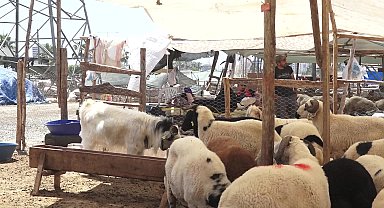 Mersin Yenişehir Belediyesi, Kurban Bayramı'na hazır
