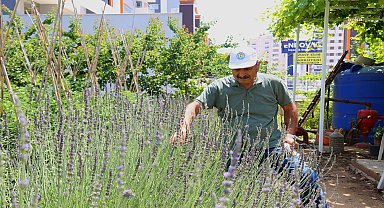 Mezitli Belediyesi'nin gönüllü sera emekçisi, yetiştirdiği sebze ve meyveleri ihtiyaç sahiplerine bağışlıyor
