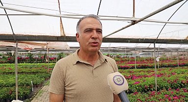 Muğla Büyükşehir Belediyesi destekliyor, kadınlar çiçek üretiyor