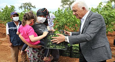 Muğla Büyükşehir Belediyesi'nden ipekböceği yetiştiricilerine destek