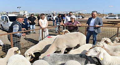 Muratpaşa Belediyesi Kurban Bayramı'na hazır