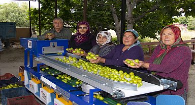 Mutlu üretici, Mersin Büyükşehir'in destekleriyle hem zamandan hem iş gücünden kazanıyor