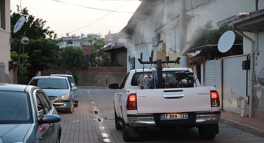 Ödemiş'te sivrisinek ve haşereyle etkin mücadele