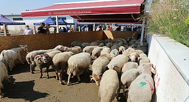 Odunpazarı Belediyesi'nden ücretsiz kurban kesimi hizmeti