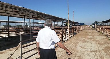 Osmaniye'nin Kadirli ilçesinde besicilik yapan Fındık: "Bakım az, besi azaldı. Geçen sene kurban pazarının hepsi doluydu, bu sene çok az"