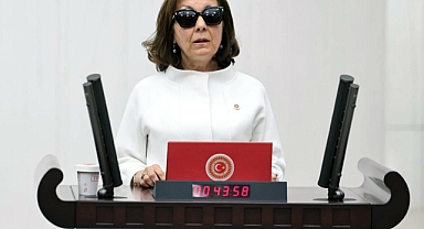 Saadet ve Gelecek Partisi TBMM Başkanlığı'na Serap Yazıcı Özbudun'u aday gösterdi