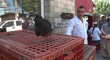 Seferihisar Belediyesi'nden 400 aileye 4 bin tavuk
