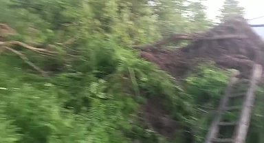 Sinop'ta meydana gelen heyelanda bir vatandaşın evi kullanılamaz hale geldi