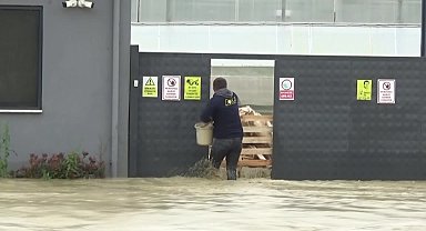 Sinop'ta selde mahsur kalan evcil hayvanlar kurtarıldı