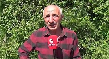 Sinoplu çeltik üreticisi Başoğlu: "Benim 300 liraya aldığım ilaca şimdi 900 lira diyorlar"