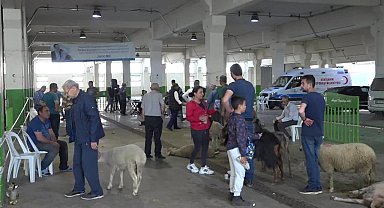 Tepebaşı Belediyesi'nden ücretsiz kurban kesim hizmeti