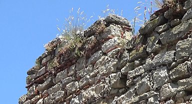 Trakya Üniversitesi Edebiyat Fakültesi Sanat Tarihi Bölümü Başkanı Prof. Dr. Beksaç: "Edirne Kaleiçi Surları kendi haline terk edildi"