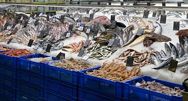 TÜİK: Su ürünleri üretimi 2022 yılında yüzde 6,2 arttı
