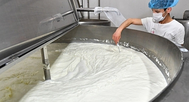 Ulusal Süt Konseyi'nin toplantısı sona erdi, çiğ süt taban fiyatı açıklanmadı