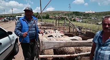 Yozgat'ta bayramın ikinci günü kurban fiyatları yarı yarıya düştü, vatandaşlar piknik için Çamlık Parkı'na akın etti