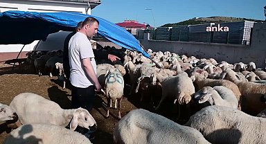 Yozgat'ta kurbanlıklar kesildi, kendilerini yaralayan acemi kasaplar hastaneye koştu