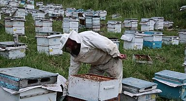 Yozgat'ta yağışlar arıları strese soktu, petekler boş kaldı