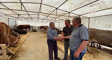 Yozgat Ziraat Odası Başkanı Açıkgöz, çevre illerde görülen şap hastalığına karşı önlem alınmasını istedi: "Şap girdiği gün hepimizin ocağı batar"