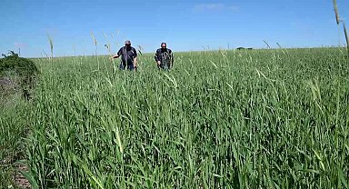 Yozgat Ziraat Odası Başkanı Açıkgöz: "Şu an piyasanın üstünde fiyat açıklandı. Ama doların yükselmesiyle birlikte ne olacak onu bilemiyoruz"