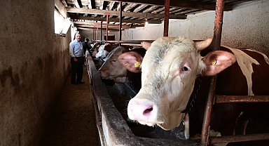 Yozgatlı Besici: "Kurbandan sonra bu fiyata bu malları tekrar alabilecek miyiz?"