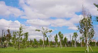 ABB, Doğal Yaşam ve Atatürk Çocukları Parkı'nın ilk etabını hizmete açmaya hazırlanıyor